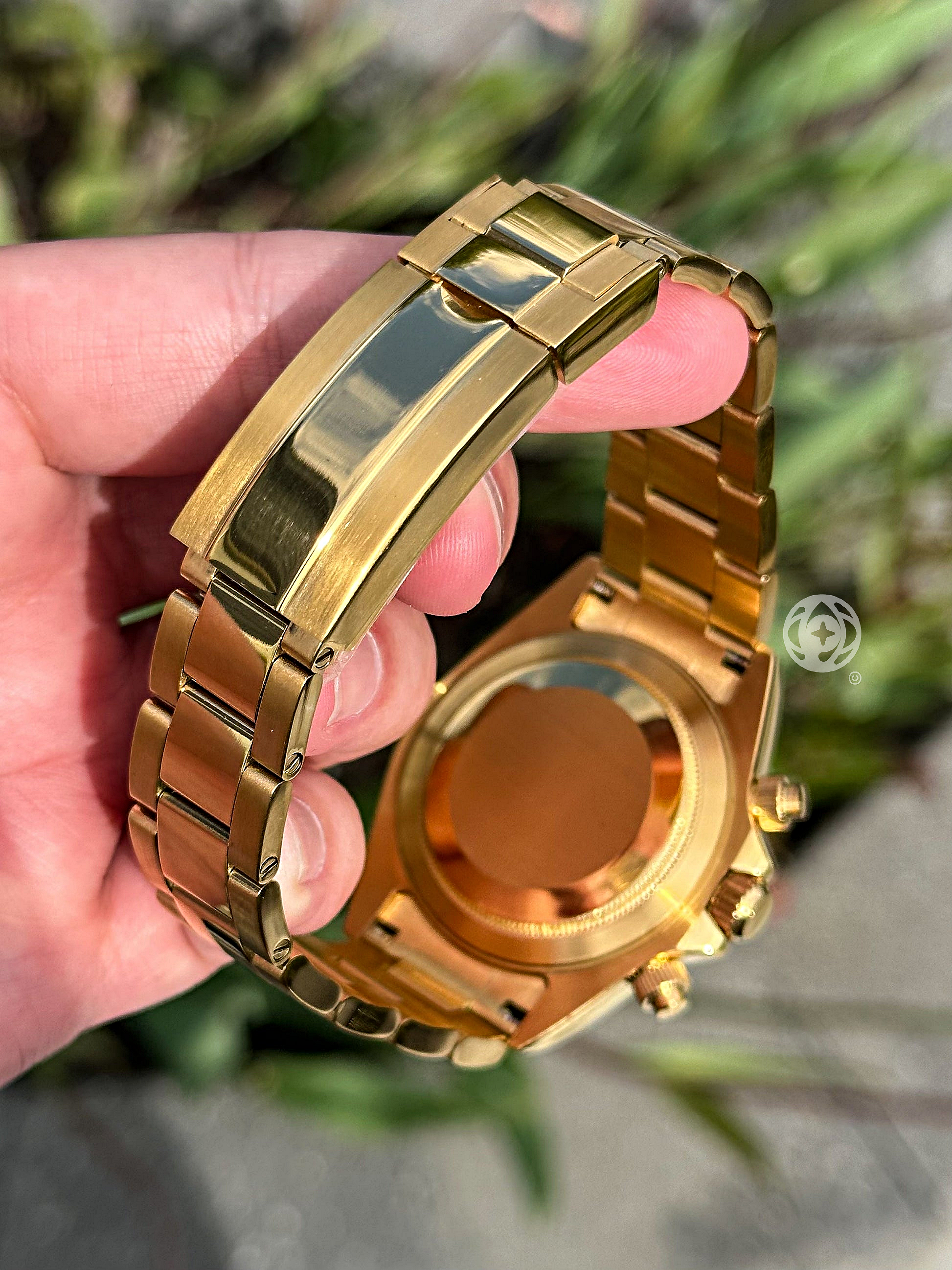 SEITONA –  Gold White